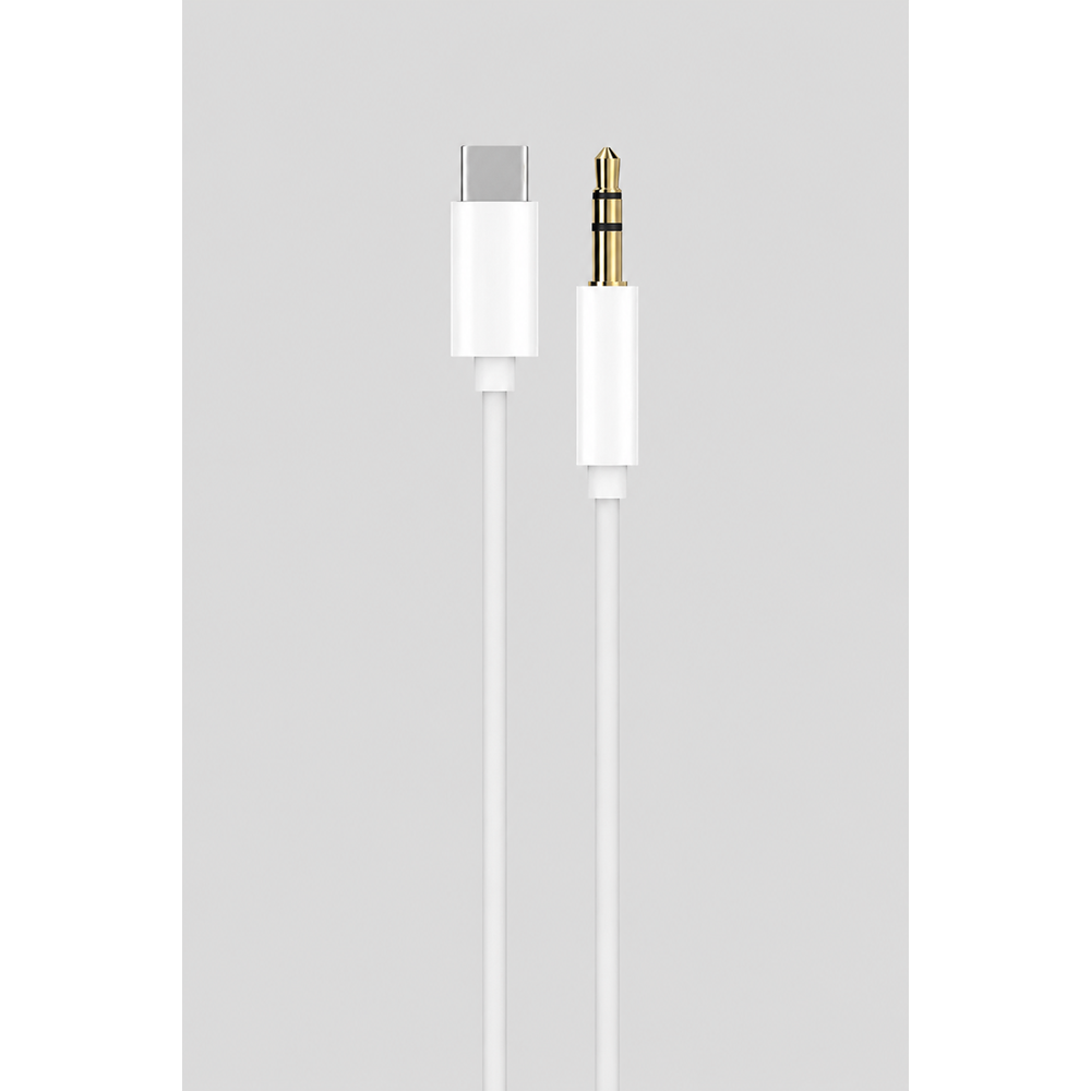 POWERWAY AC06 TYPE-C AUX DÖNÜŞTÜRÜCÜ KABLO