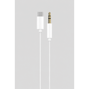 POWERWAY AC06 TYPE-C AUX DÖNÜŞTÜRÜCÜ KABLO