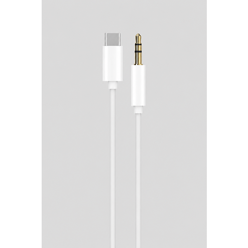 POWERWAY AC06 TYPE-C AUX DÖNÜŞTÜRÜCÜ KABLO
